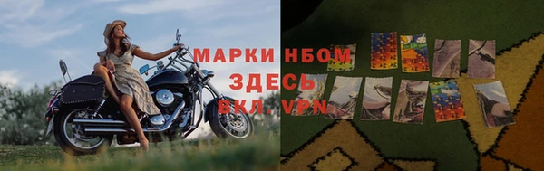ALPHA PVP Баксан